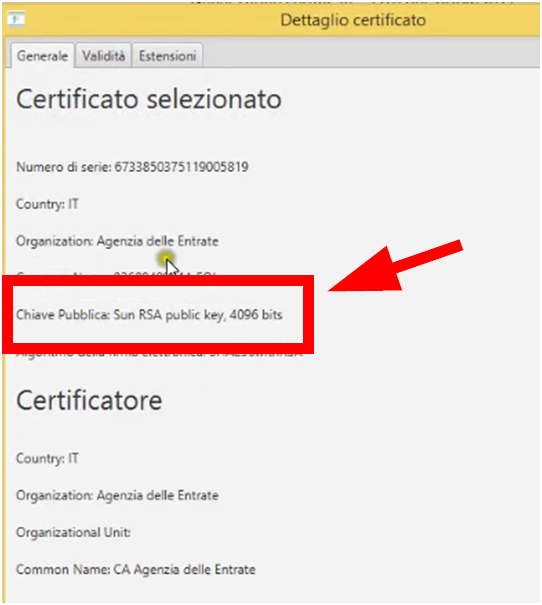 Dettaglio del certificato, chiave pubblica