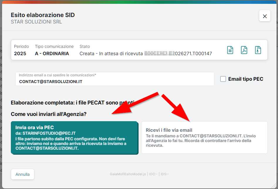 Scelta Invia ora via PEC / Ricevi i file via email